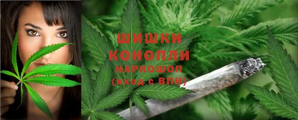 apvp Балахна