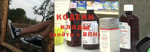 крисы Белокуриха
