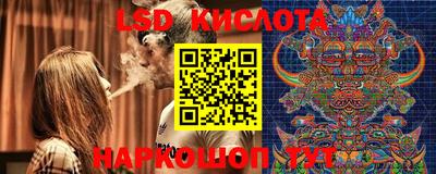 стаф Кинель