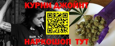 apvp Кингисепп
