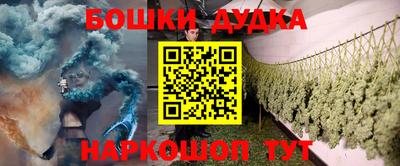 apvp Кингисепп