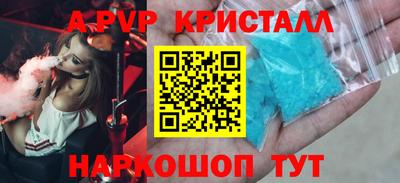стаф Кинель
