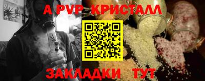 стаф Кинель