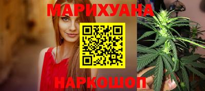 apvp Кингисепп